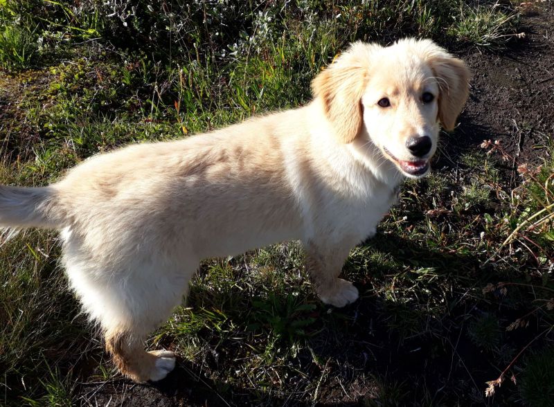 2020-08-03-1842_Emily_2