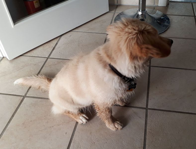 2020-08-03-1858_Emily