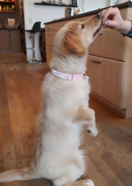 2020-08-06-1916_Bedste_2-Emily