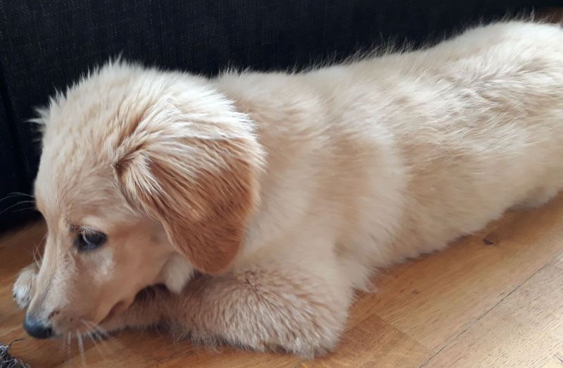 2020-08-07-1752_Emily