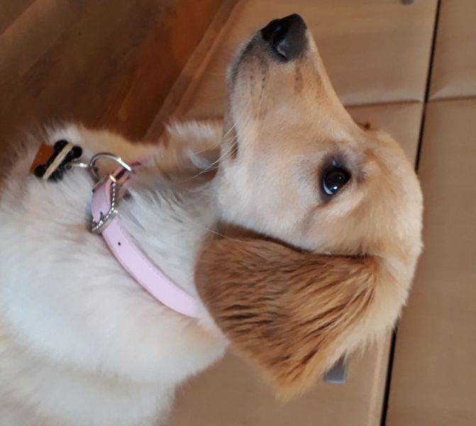 2020-08-08-1959_Emily