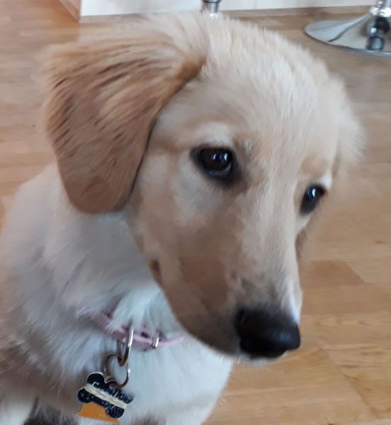 2020-08-08-2000_Emily