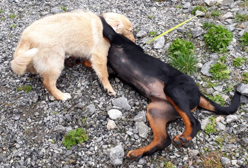 2020-08-09-1402_Emily-Tyson