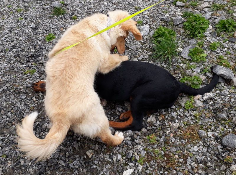 2020-08-09-1402_Emily-Tyson_2