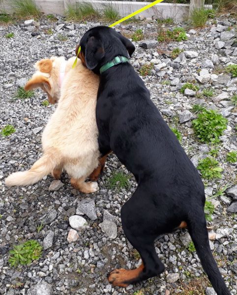 2020-08-09-1402_Emily-Tyson_3