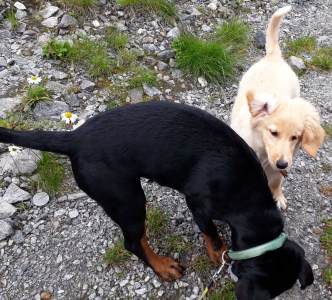 2020-08-09-1402_Emily-Tyson_4