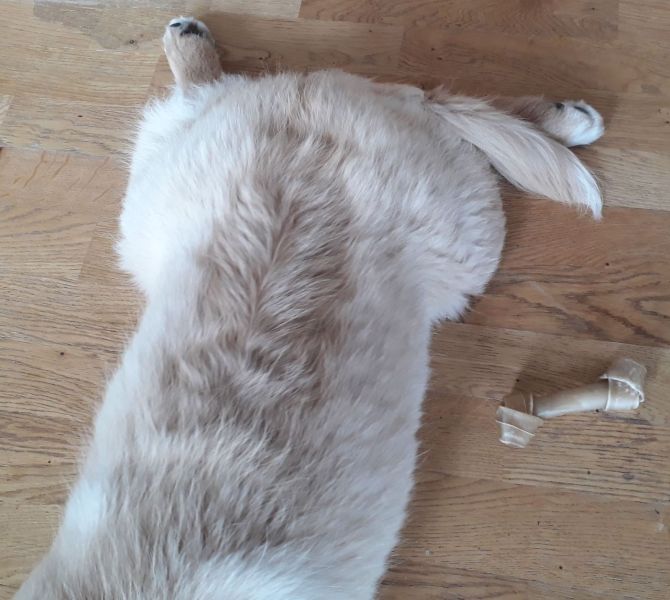 2020-08-12-1751_Emily