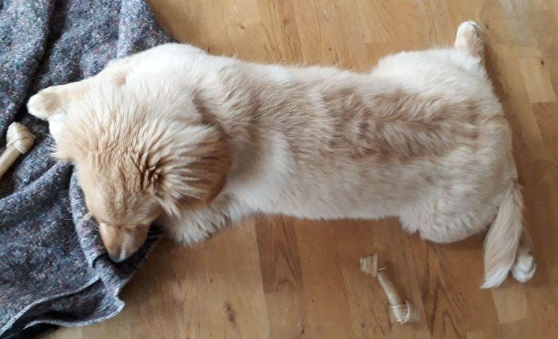 2020-08-12-1751_Emily_2