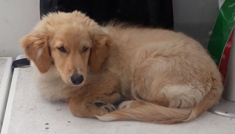 2020-08-14-1353_Emily