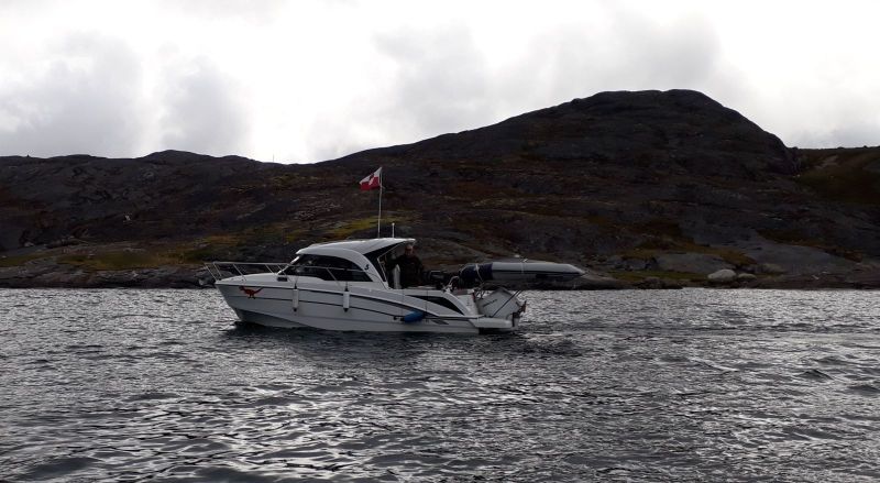 2020-08-14-1632_T-Rex_2