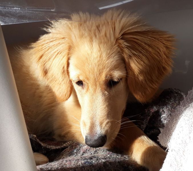 2020-08-15-1202_Emily