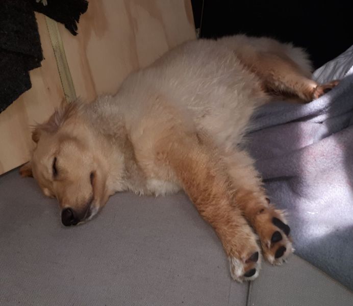 2020-08-15-1354_Emily