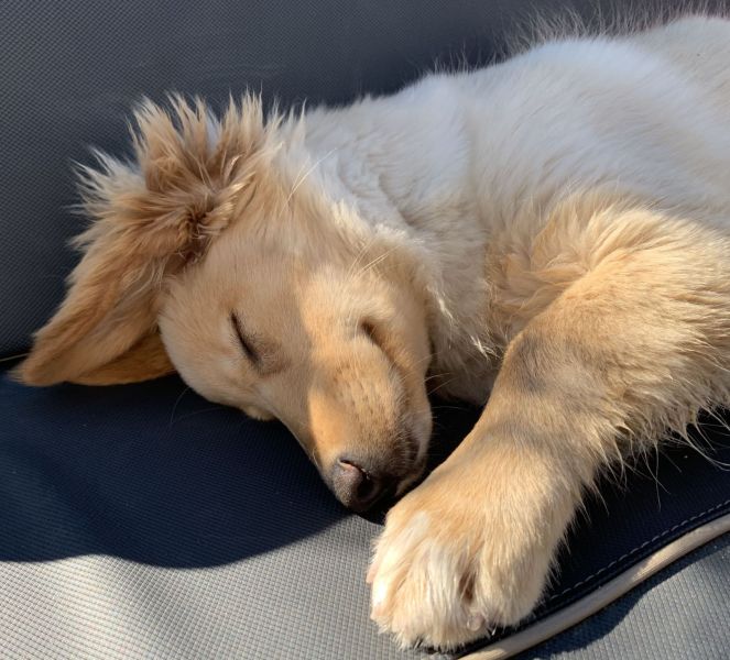 2020-08-16-1115_Bedste_2-Emily