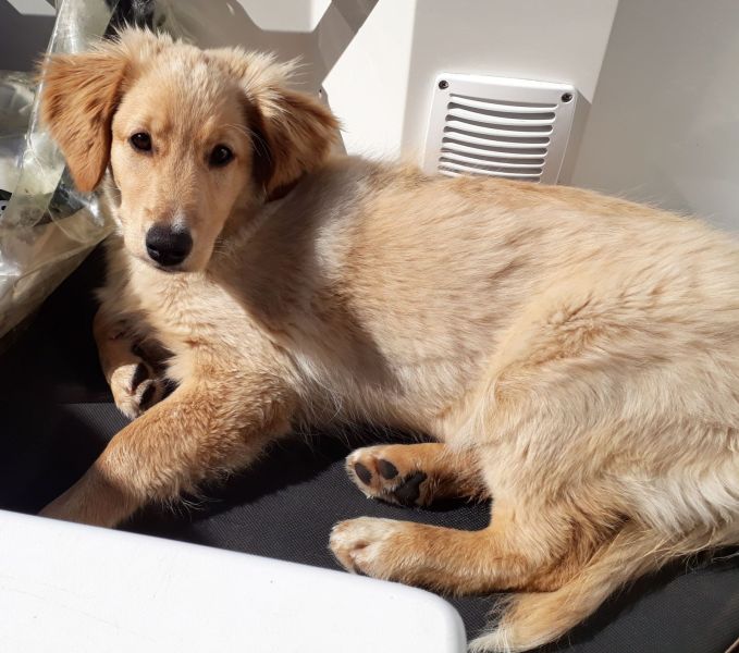 2020-08-16-1245_Emily