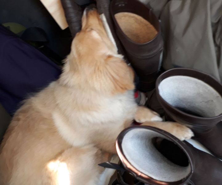 2020-08-16-1432_Emily