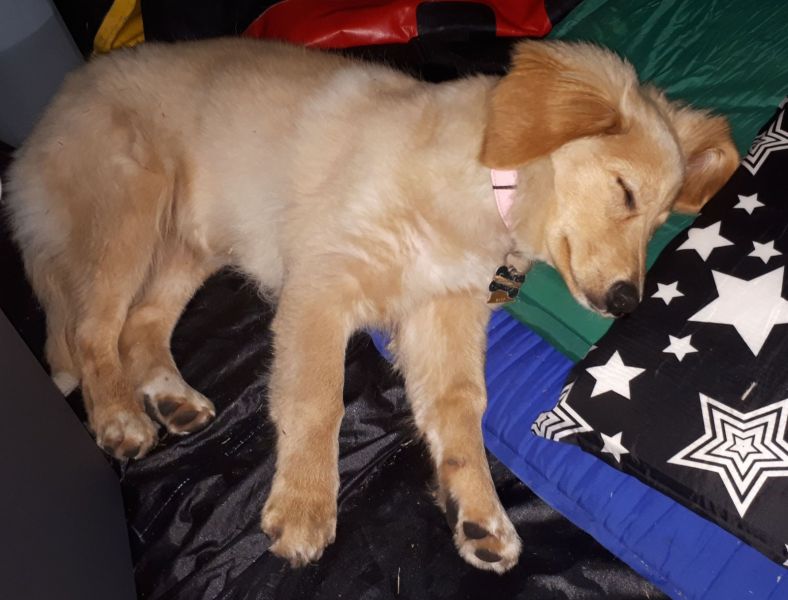 2020-08-21-2116_Emily