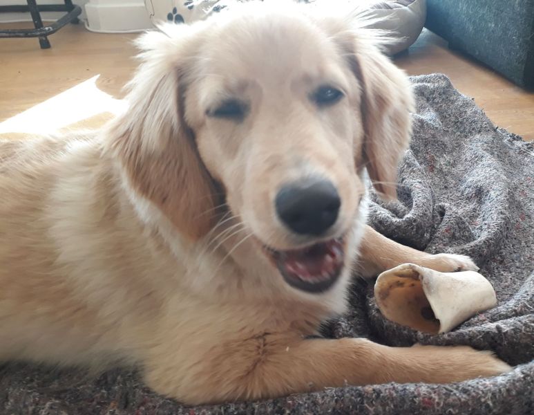 2020-08-25-1641_Emily