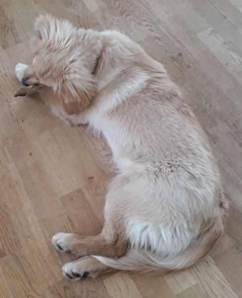 2020-08-26-1815_Emily