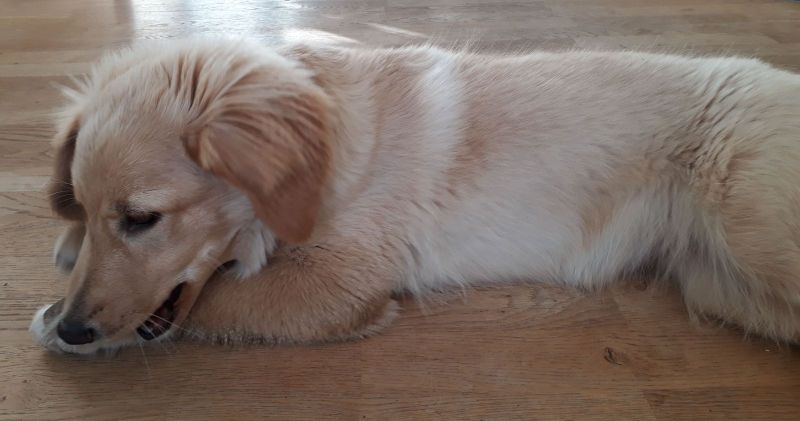 2020-08-26-1816_Emily