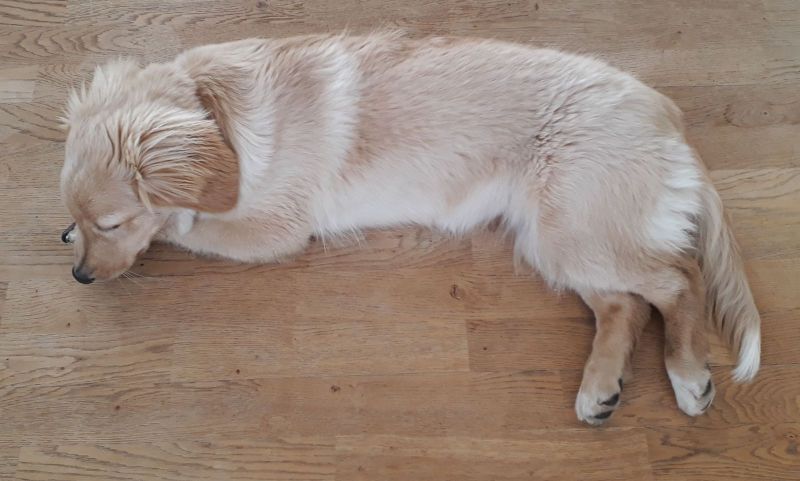 2020-08-26-1816_Emily_2