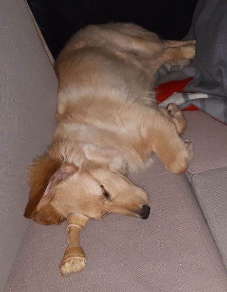 2020-08-28-2322_Emily