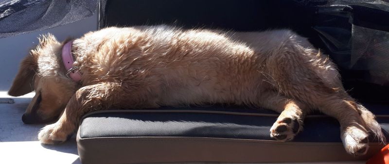 2020-08-30-1227_Emily