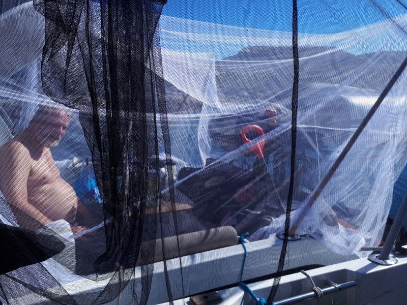 2020-08-30-1228_Jeppe-Jesper-Rex