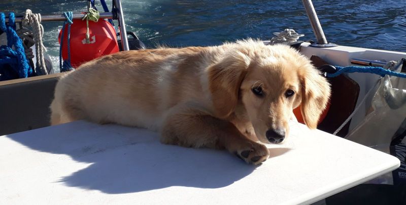 2020-08-30-1504_Emily