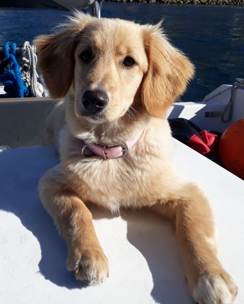 2020-08-30-1505_Bedste_2-Emily