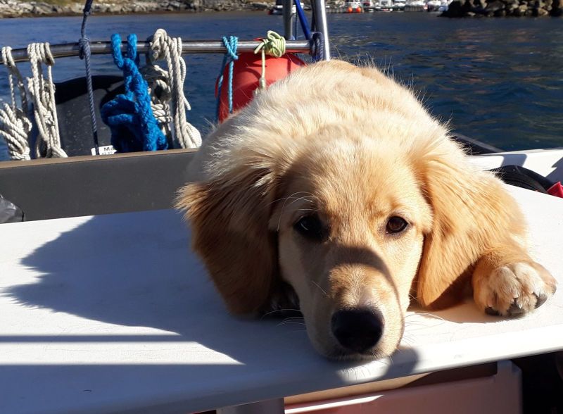 2020-08-30-1505_Emily