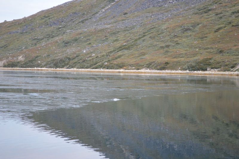 Nyis i Præstefjorden