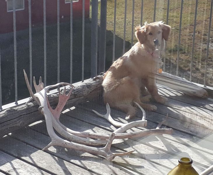 2020-09-01-1644_Emily