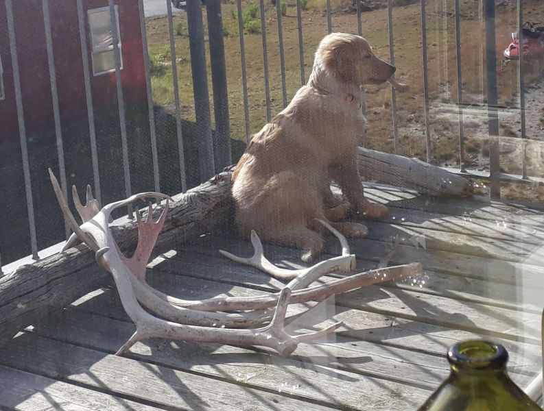 2020-09-01-1644_Emily_2