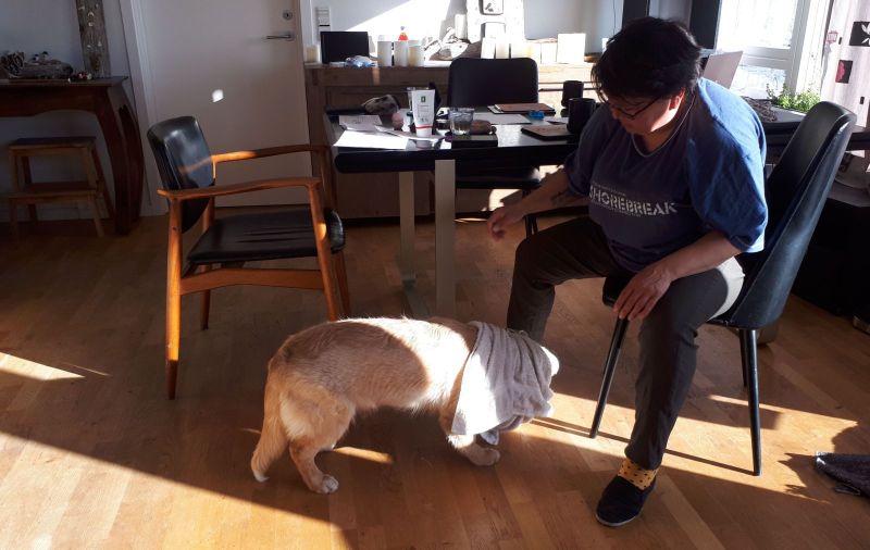 2020-09-01-1725_Anna-Hessler-Labansen-Emily