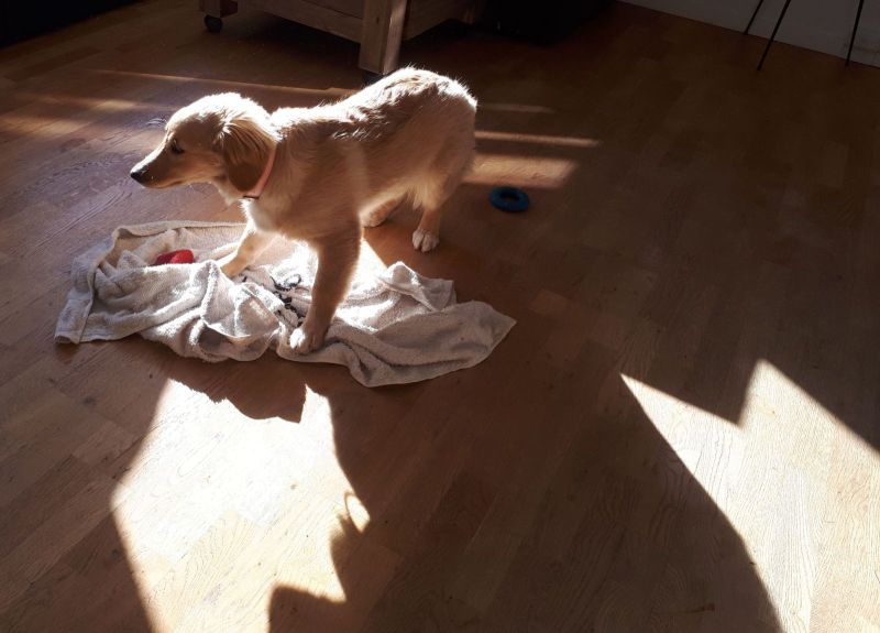 2020-09-01-1725_Emily