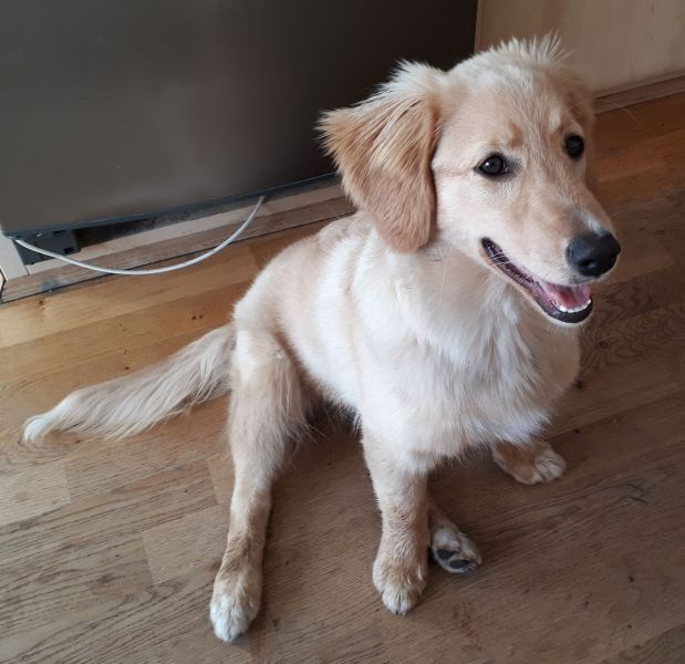 2020-09-01-1754_Emily