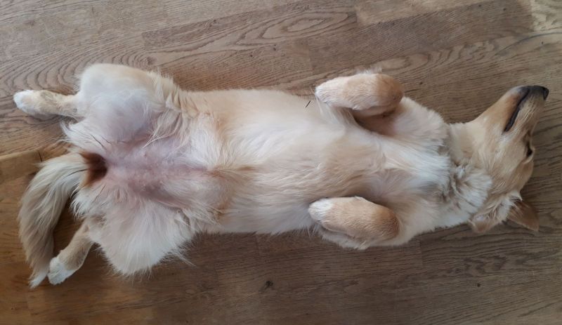 2020-09-01-1827_Emily