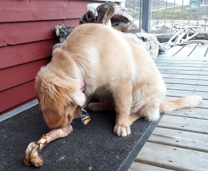 2020-09-03-1737_Emily