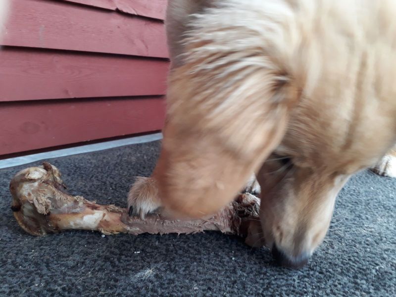 2020-09-03-1737_Emily_2