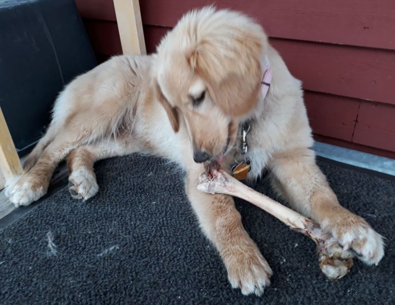 2020-09-03-1744_Emily