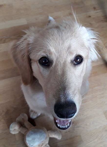 2020-09-08-1618_Emily