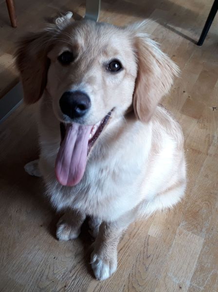 2020-09-08-1620_Emily