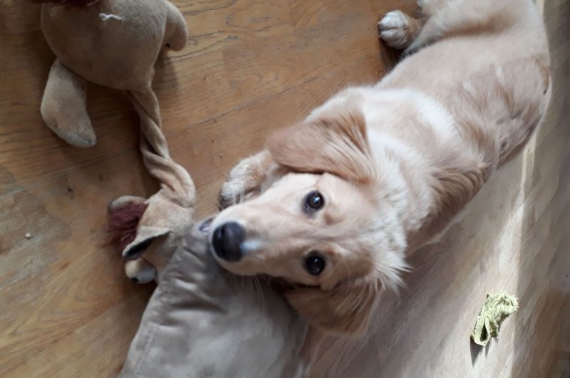 2020-09-08-1621_Emily