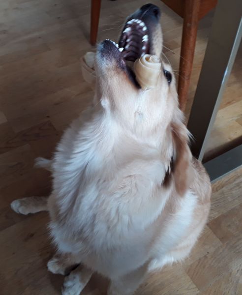 2020-09-08-1624_Emily