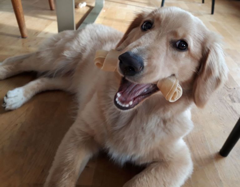 2020-09-08-1624_Emily_2