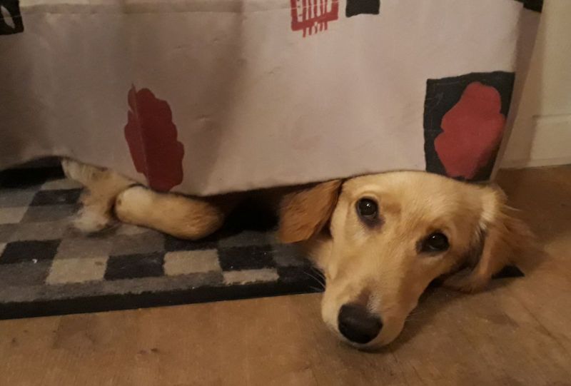 2020-09-16-2026_Emily