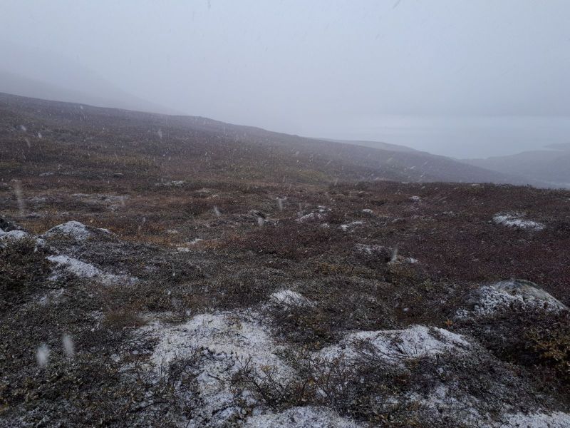 Jagt i Qasiginanguit Ameralik - med Ruder 3 og Klaus