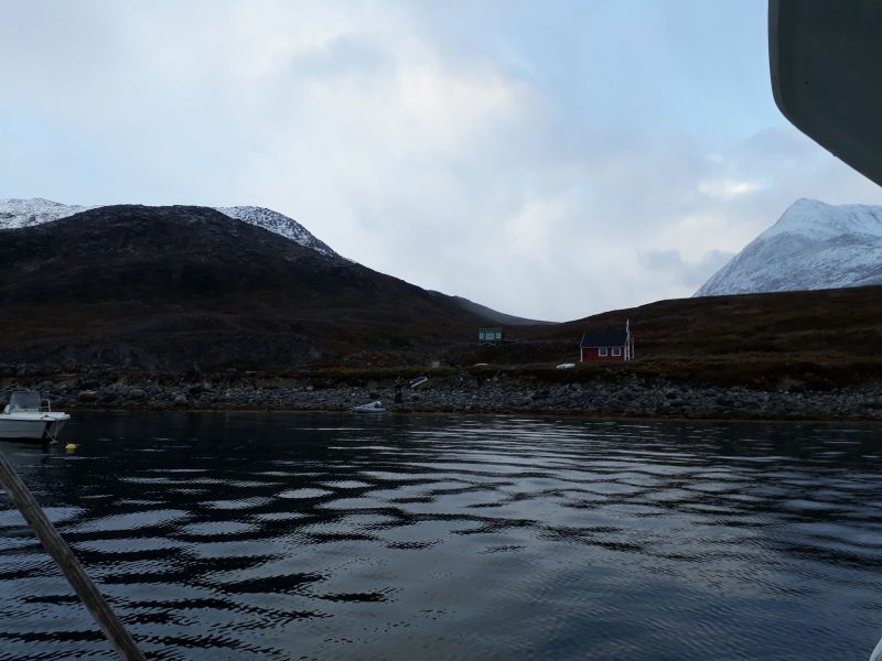 Jagt i Qasiginanguit Ameralik - med Ruder 3 og Klaus