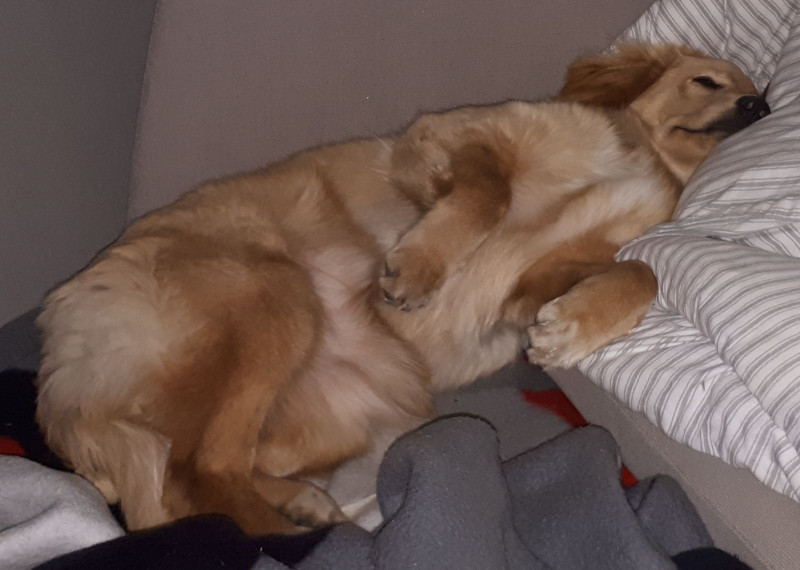 2020-09-24-2311_Emily