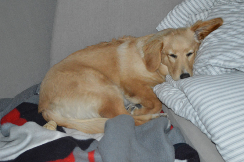 2020-09-24-2312_Emily